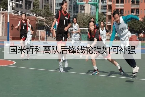 国米哲科离队后锋线轮换如何补强